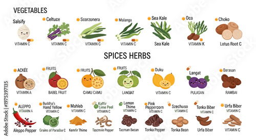 An infographic showcasing a variety of vegetables, spices, and herbs, detailing their names and some nutritional content like vitamins.