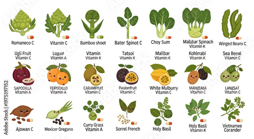 A comprehensive chart showcasing various fruits, vegetables, and herbs along with their respective vitamin content and nutritional benefits.