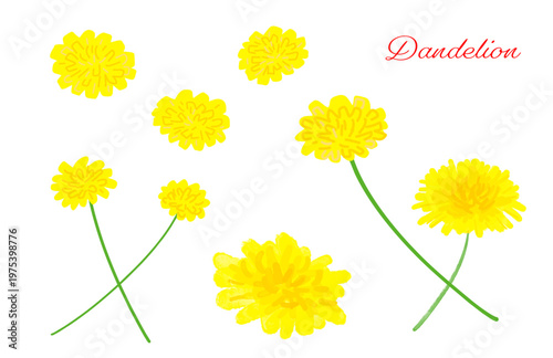 たんぽぽの花セット、手描きクレヨンタッチの黄色い花のベクターイラスト