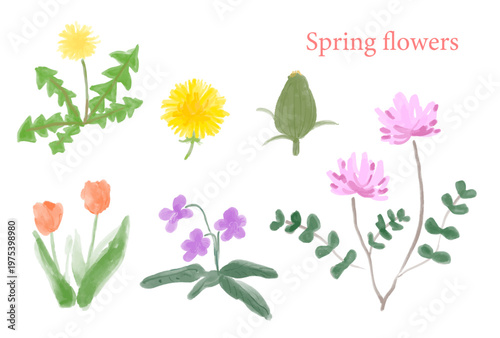 春の野草と花の手描き水彩風ベクターイラスト