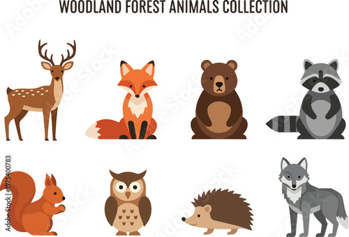 Collection of woodland forest animals, including a deer, fox, bear, raccoon, squirrel, owl, hedgehog, and wolf