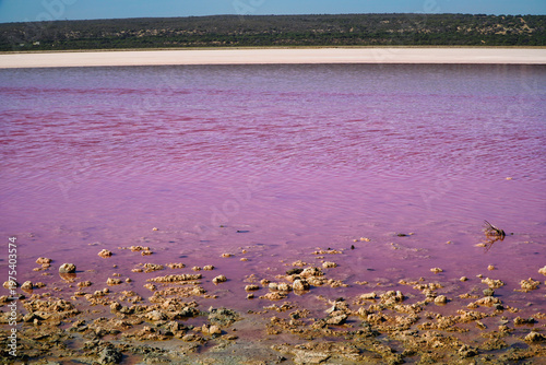 Hutt Lagoon pink salt lake with crusted salt formations with vibrant magenta water