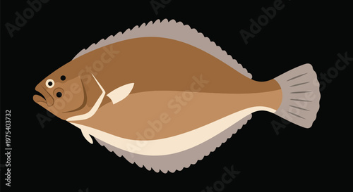 Flat Brown Flounder Fish Illustration Isolated On Black Background