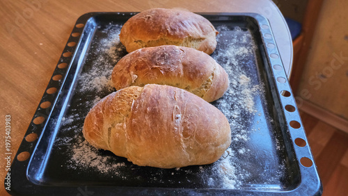 Fotografi Three freshly baked loaves of homemade bread with a golden crust lie on a black baking sheet sprinkled with flour