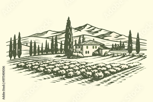 Vintage landscape etching of a tuscan villa with cypress trees