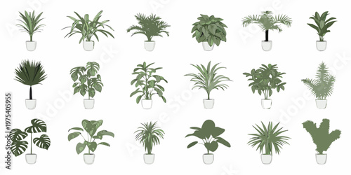 Collection of diverse potted houseplants arranged in a grid pattern