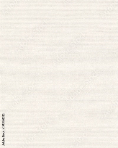 Quadro su tela White textured canvas paper background with fine woven pattern resembling fabric surface
