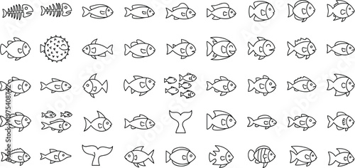 Fish silhouettes, aquatic line drawings, marine life icons, underwater creatures, pufferfish, skeleton fish, ocean animals, vector illustration, black white design