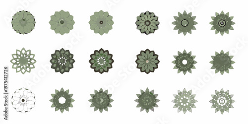 Collection of varied patterned succulent plants viewed from above