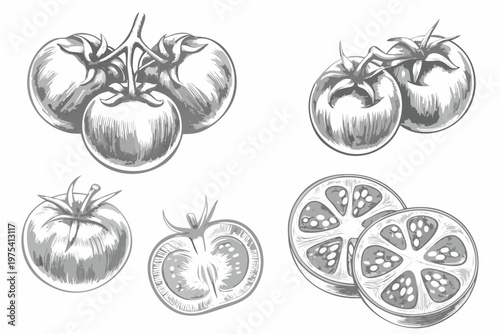 A grayscale illustration of several tomatoes whole and sliced