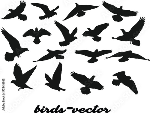 Set of black bird silhouettes and flying wildlife animals in vector illustration including nature icons like swallow and dove wings for seamless design pattern