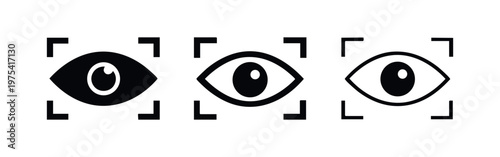 Eye Scan Biometric Authentication Icons Set