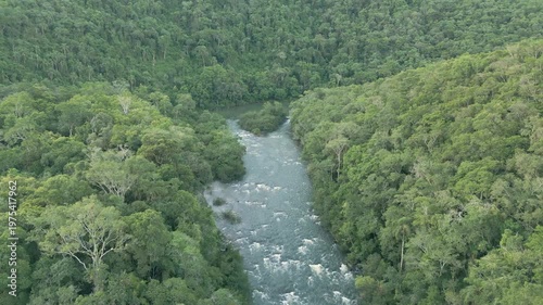 A turbulent river among trees on a sunny day. Drone footage. 