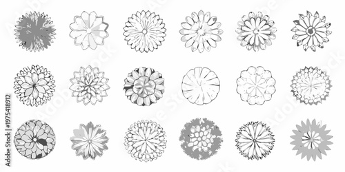Collection of sketched floral shapes in varying degrees of detail
