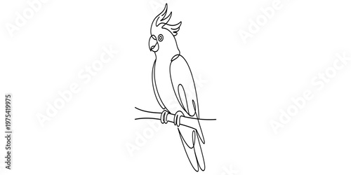 Minimalist continuous line drawing of a majestic cockatoo perched on a simple wooden branch stem. Vector, illustration