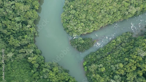 Confluence of rivers in the middle of the forest. Turquoise. Zenithal. 