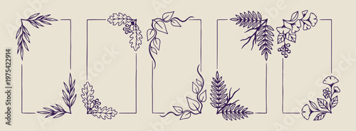 Wisteria and hanging flower hand drawn frame, elegant floral border graphic design, rustic vine and blossom doodles, organic plant frame sketch set, bohemian nature aesthetic border elements, delicate