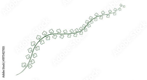 Delicate green vine with small heart shaped leaves curving across a white background in a minimalist hand drawn style.