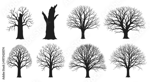 Collection of eight black tree silhouettes with bare branches showing different shapes and sizes on a white background.