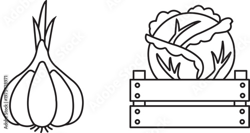 Line art illustration of garlic and cabbage in a crate isolated on transparent background