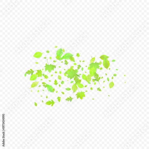 Leaves Falling. Spring Flying Foliage. Chaotic Green Leaf Flying On Transparent Background. Forest Design, Nature Elements. Ecology Vector Illustration. Environment Backdrop.