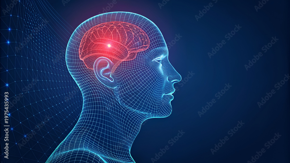Obraz premium 3D anatomy illustration of brain pain and neurological activity concept