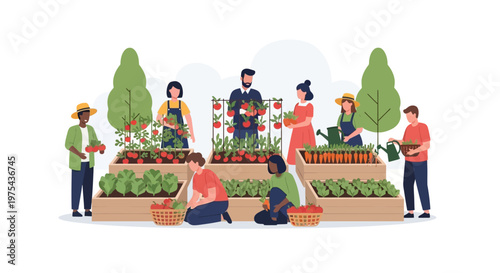 Diverse group of people working together in a community vegetable garden. EPS Editable. Vector Illustrations.