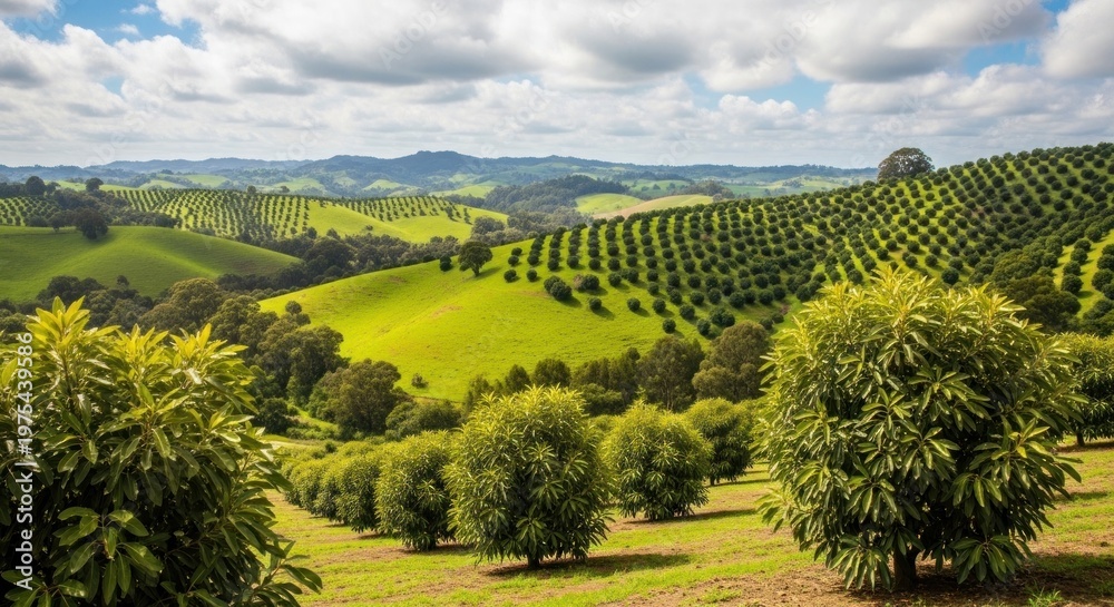Fototapeta premium Serene Green Hills with Trees and Crops.