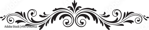 Black ornamental flourish with swirling floral motifs and delicate leaf accents on a white background, decorative borders and vintage