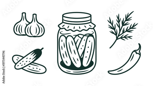 Hand drawn pickled cucumbers in jar, accompanied by garlic, dill, and chili, high quality professional detailed modern culinary vector illustration.