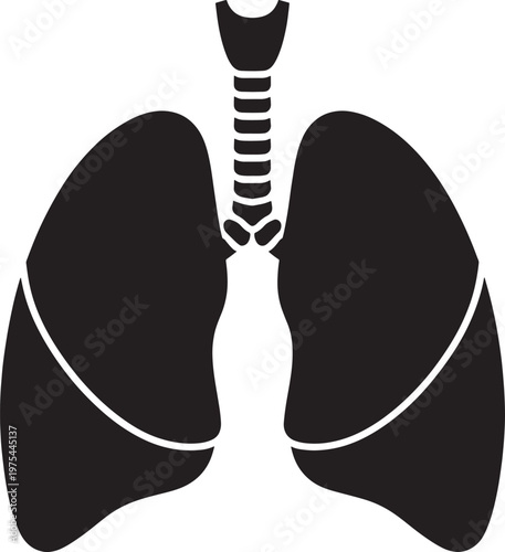 Black silhouette of human lungs and trachea with white outlines on a white background representing the respiratory system and breathing Keywords
