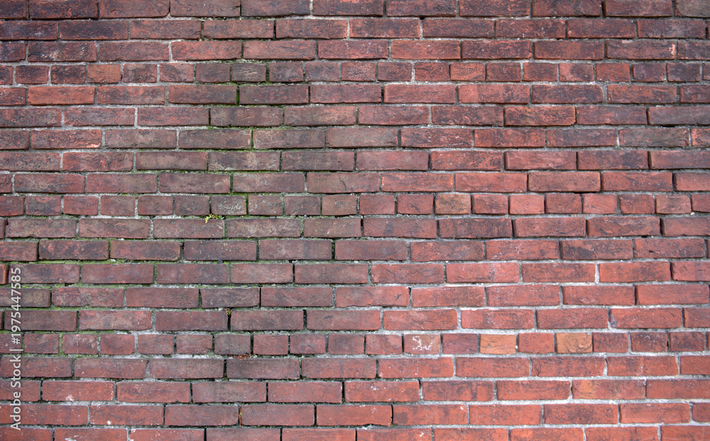 Ταπετσαρία Bricks in wall background