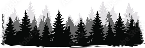 forest conifer canopy trail vector silhouette layered composition