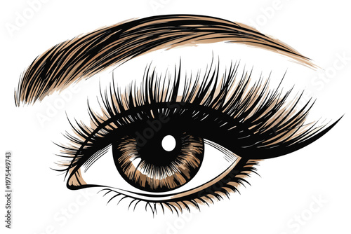 Close up illustration of a human eye with dramatic eyelashes