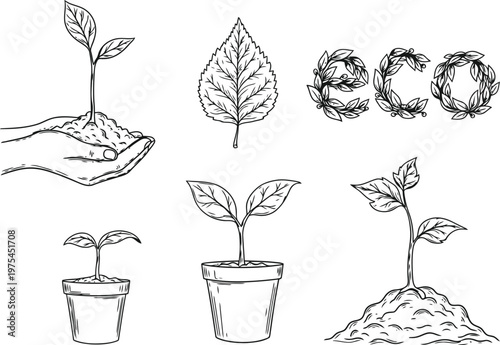 Hand holding seedling and potted plants with eco text illustration