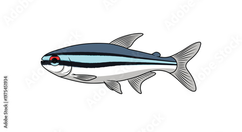 Small neon tetra fish with vibrant blue and silver stripes and a red eye shown in a side profile swimming pose.