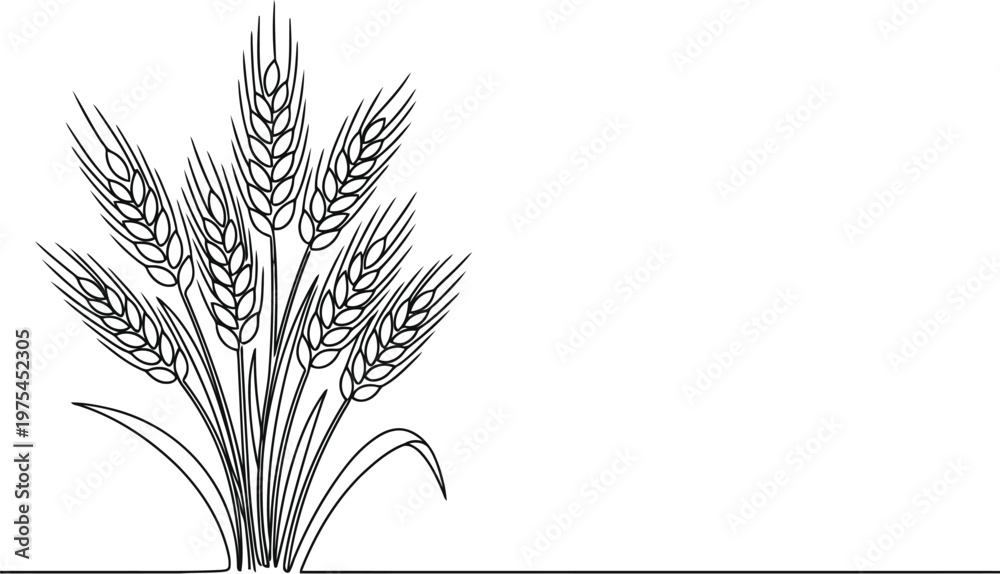Fototapeta premium Minimalist line art illustration of wheat stalks on a white background