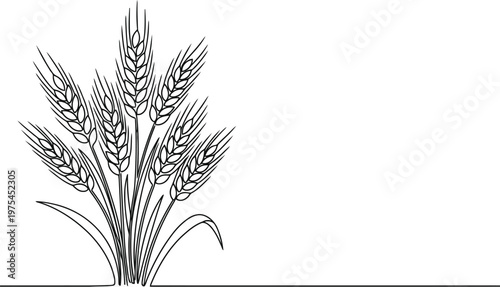 Minimalist line art illustration of wheat stalks on a white background