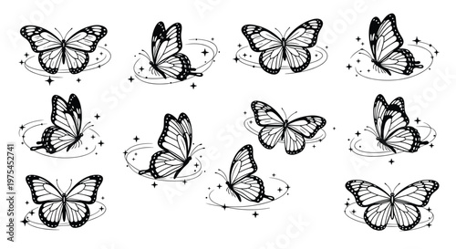 Sheet of thirteen black and white butterfly drawings in different flight positions is surrounded by decorative sparkles and dots.