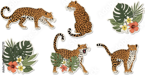 Cheetah in Various Poses Collection Illustration.