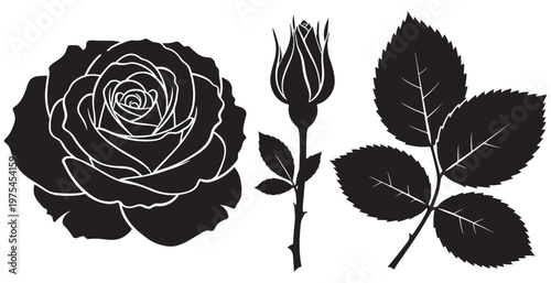 Rose Flower and Leaf Silhouette Botanical Floral Plant Vector Illustration