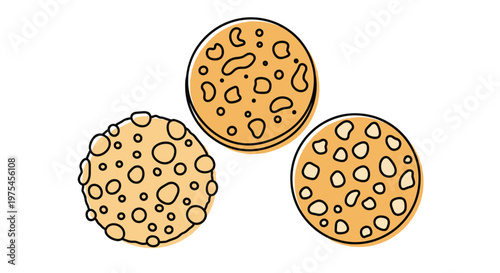 Three circular crackers or biscuits with small hole textures for quick snack and food related graphic design projects.