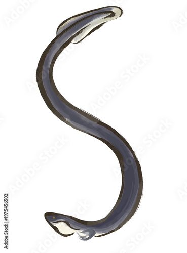 水彩風、筆タッチの横向きポーズのうなぎのイラスト