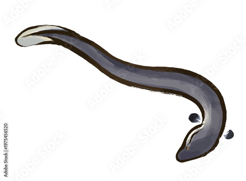 水彩風、筆タッチの下向きポーズのうなぎのイラスト