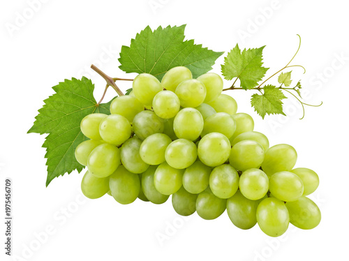 Fresh Green Grape Cluster with Leaves Isolated on Transparent Background