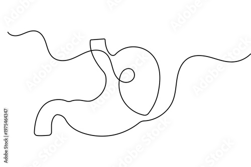 Minimalist stomach one line drawing isolated outline vector illustration for medical design
