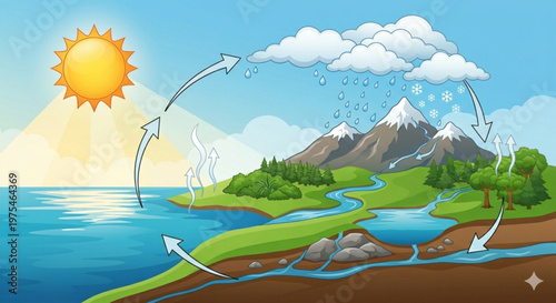 Detailed Diagram of the Natural Water Cycle (Hydrologic Cycle)