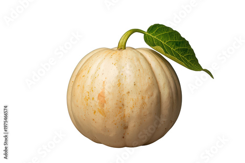 White pumpkin with green leaf displaying autumn harvest beauty and organic seasonal freshness on transparent background