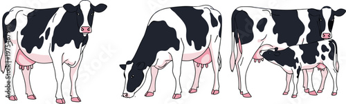 Dairy cow illustration set, black and white holstein cattle with calf, farm animal collection, agriculture livestock design