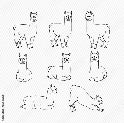 Cute alpaca and llama vector set with various poses and expressions, black and white outline illustration.